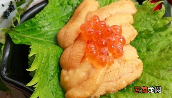 海胆有毒吗 海胆有没有毒