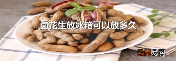 卤花生放冰箱可以放多久