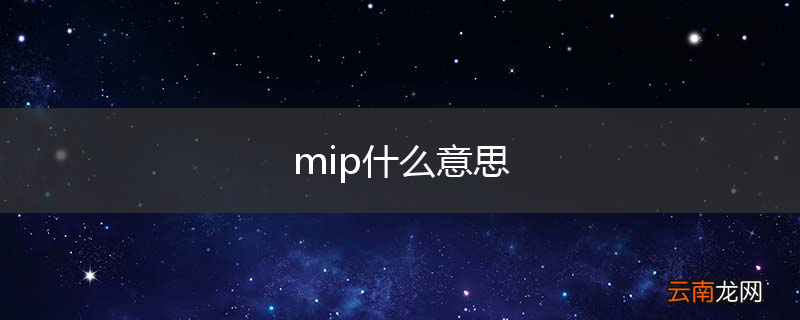 mip什么意思
