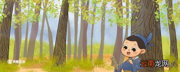 王充求学原文及翻译 王充求学原文和翻译