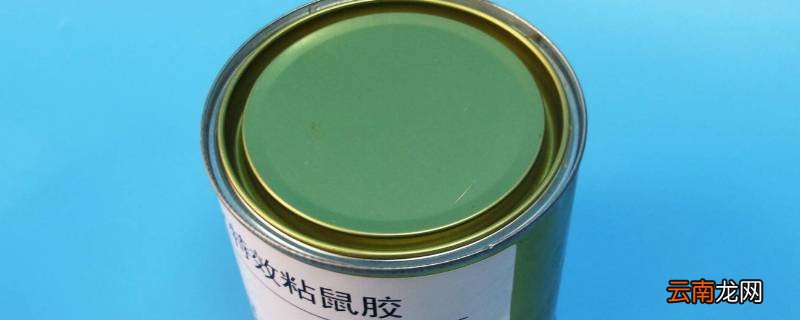 粘鼠胶用什么东西能洗掉
