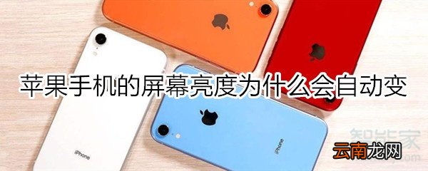 苹果手机的屏幕亮度为什么会自动变啊