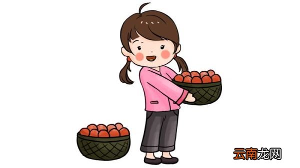 摘柿子简笔画 摘柿子简笔画怎么画