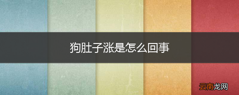 狗肚子涨是怎么回事