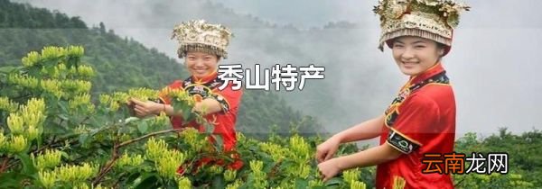秀山特产