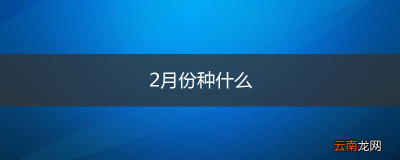 2月份种什么