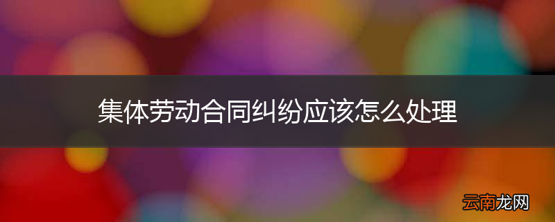 集体劳动合同纠纷应该怎么处理