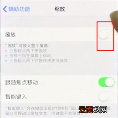 iphonex中使用缩放的操作步骤