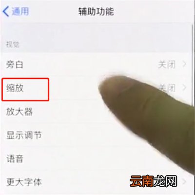 iphonex中使用缩放的操作步骤