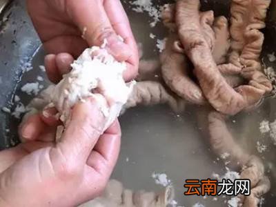 熟大肠怎么洗又快又干净
