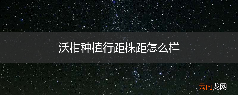 沃柑种植行距株距怎么样