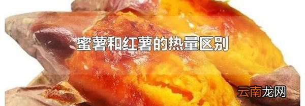 蜜薯和红薯的热量区别