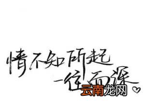 “情不知所起，一往而深”是什么意思？