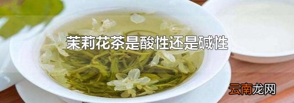 茉莉花茶是酸性还是碱性