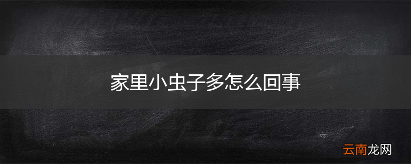 家里小虫子多怎么回事