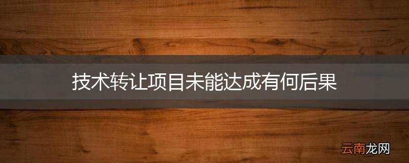 技术转让项目未能达成有何后果