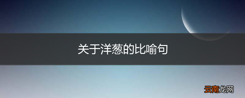 关于洋葱的比喻句