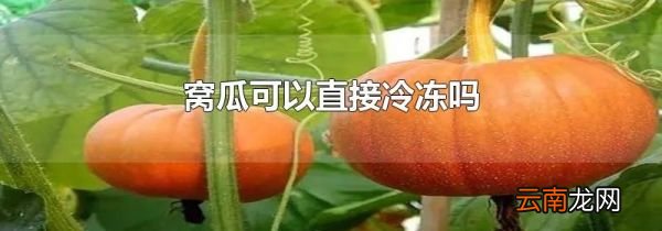 窝瓜可以直接冷冻吗