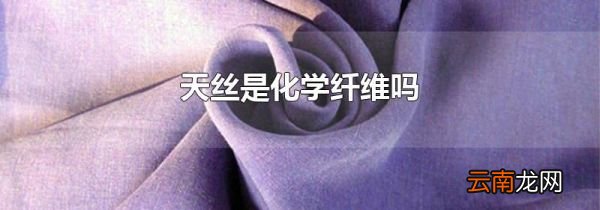 天丝是化学纤维吗