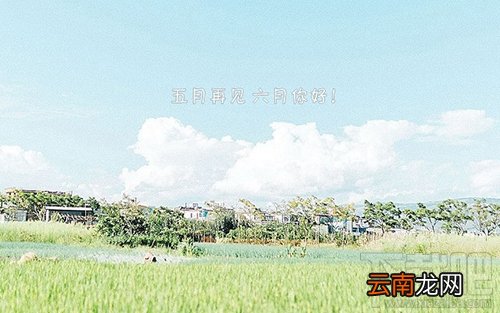 六月你好朋友圈说说与图片大全