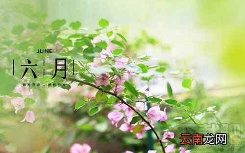 六月你好朋友圈说说与图片大全
