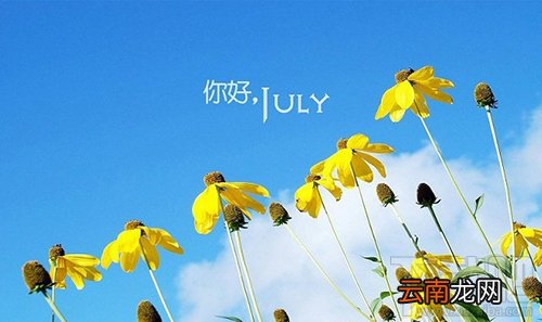 六月你好朋友圈说说与图片大全