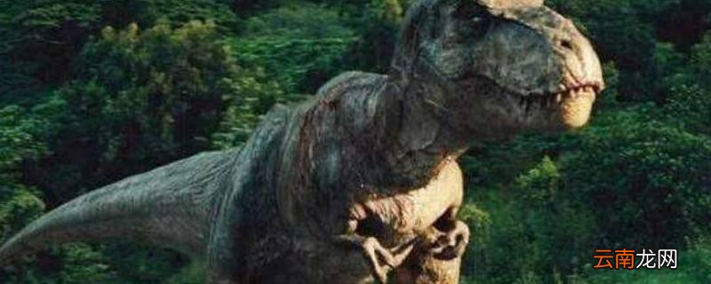 t rex是什么恐龙