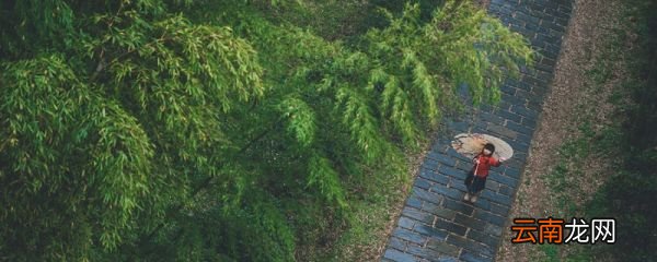 一蓑烟雨任平生表达了怎样的人生态度 一蓑烟雨任平生表达的人生态度