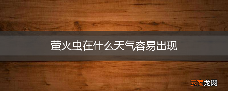 萤火虫在什么天气容易出现