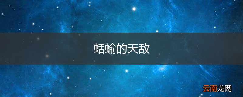 蛞蝓的天敌