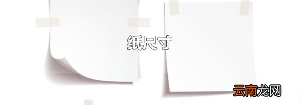 纸尺寸