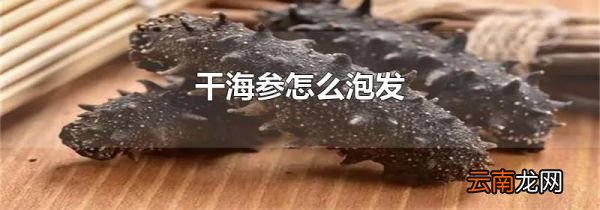 干海参怎么泡发