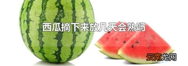 西瓜摘下来放几天会熟吗
