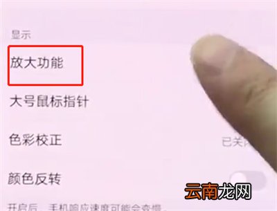 vivonex中开启放大功能的操作方法