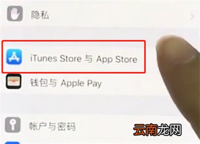 iphonex中关闭软件自动更新的操作步骤