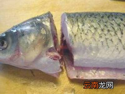 怎么片鱼