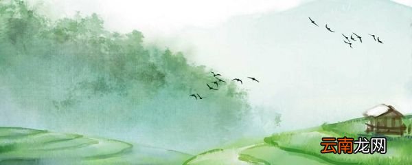 绝句迟日江山丽中动态和静态景物有哪些 绝句静态的景物有什么
