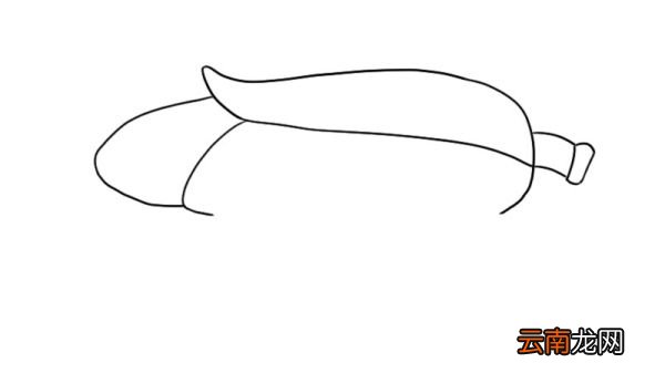 玉米加农炮简笔画