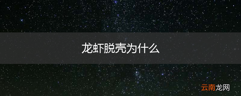 龙虾脱壳为什么