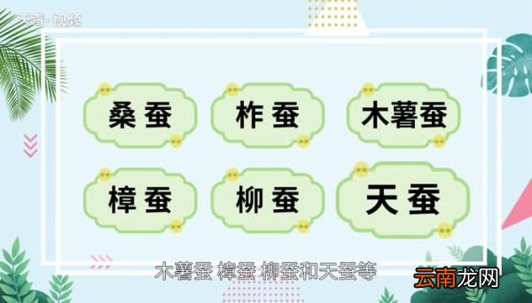 桑蚕丝的特点 桑蚕丝的优缺点