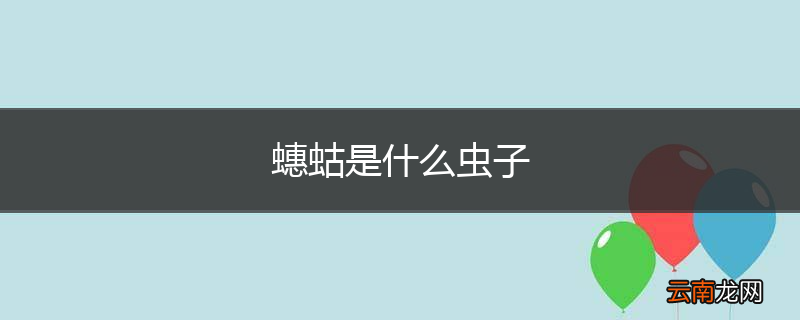 蟪蛄是什么虫子