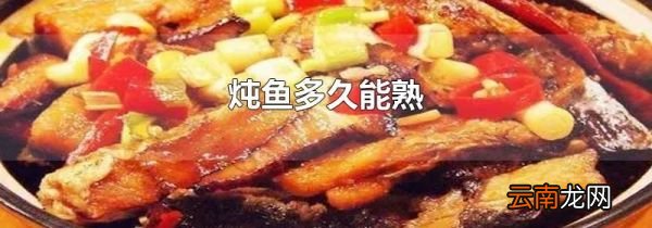 炖鱼多久能熟