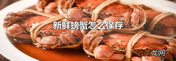 新鲜螃蟹怎么保存