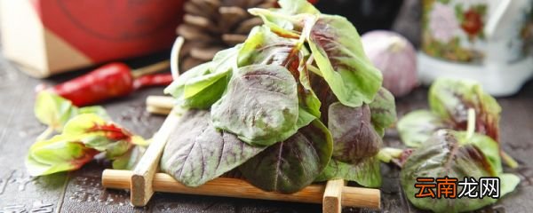 汉菜的做法 汉菜怎么吃