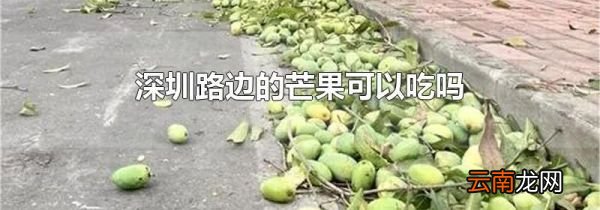 深圳路边的芒果可以吃吗