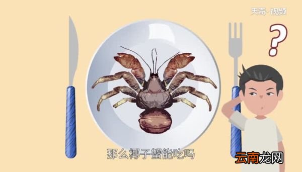 椰子蟹能吃吗 椰子蟹怎么吃