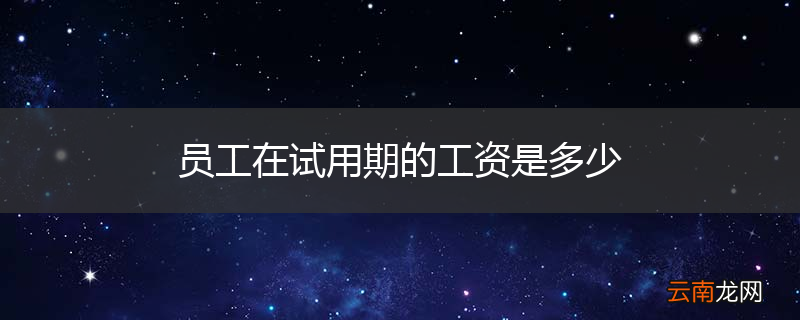 员工在试用期的工资是多少