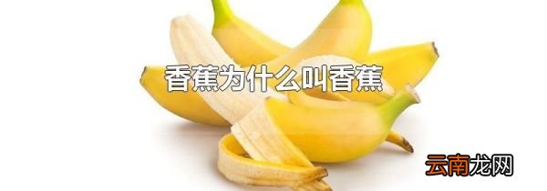 香蕉为什么叫香蕉