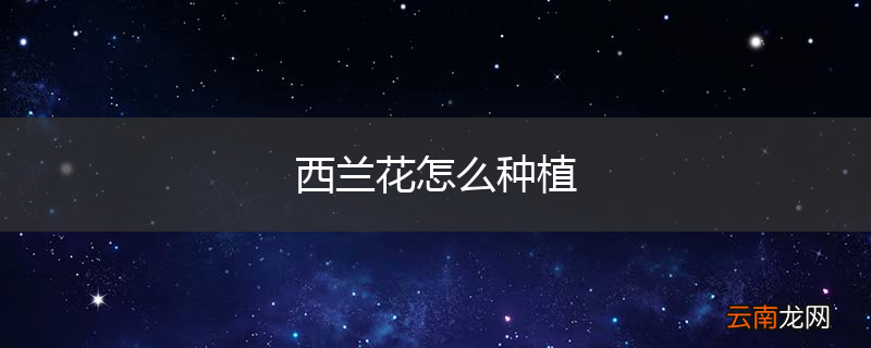 西兰花怎么种植