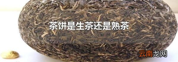 茶饼是生茶还是熟茶